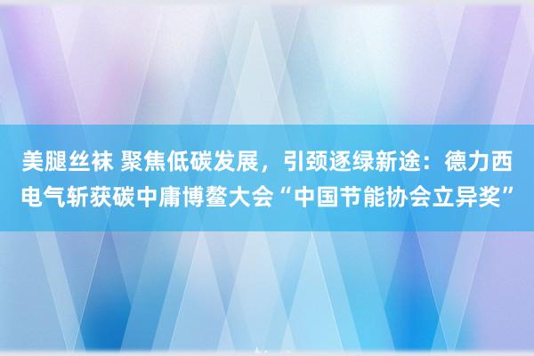 美腿丝袜 聚焦低碳发展，引颈逐绿新途：德力西电气斩获碳中庸博鳌大会“中国节能协会立异奖”