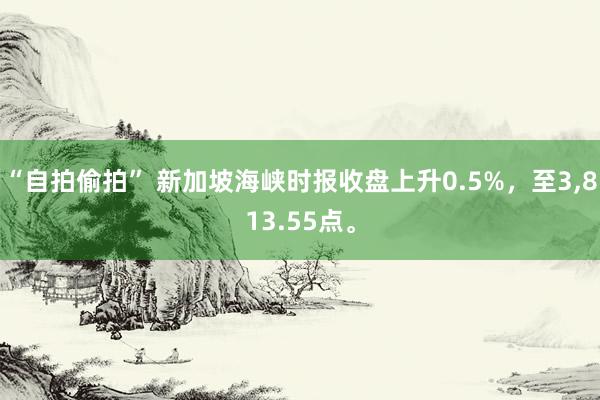 “自拍偷拍” 新加坡海峡时报收盘上升0.5%，至3，813.55点。