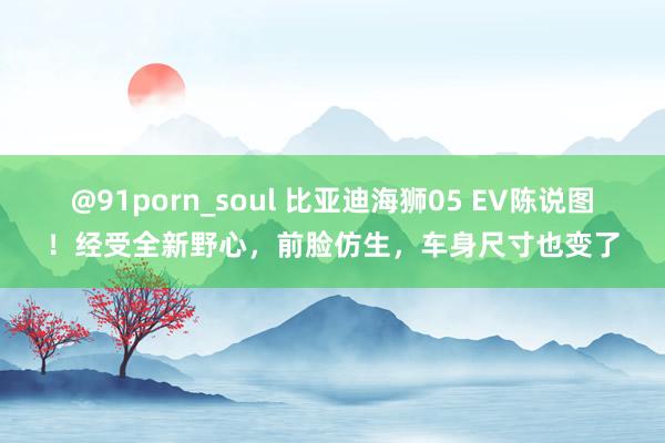 @91porn_soul 比亚迪海狮05 EV陈说图！经受全新野心，前脸仿生，车身尺寸也变了