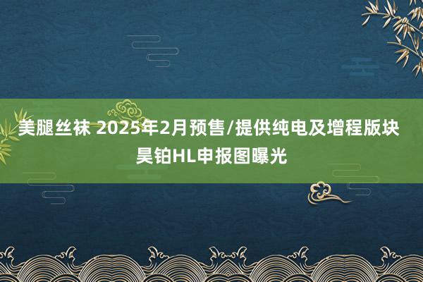 美腿丝袜 2025年2月预售/提供纯电及增程版块 昊铂HL申报图曝光