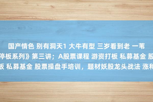 国产情色 别有洞天1 大牛有型 三岁看到老 一苇渡江涨停敢死队《贯穿涨停板系列》第三讲；A股票课程 游资打板 私募基金 股票操盘手培训，题材妖股龙头战法 涨和谈法 牛市