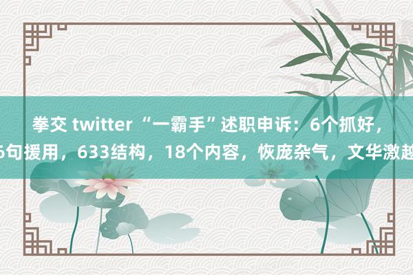 拳交 twitter “一霸手”述职申诉：6个抓好，6句援用，633结构，18个内容，恢庞杂气，文华激越