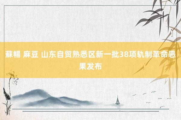 蘇暢 麻豆 山东自贸熟悉区新一批38项轨制革命恶果发布