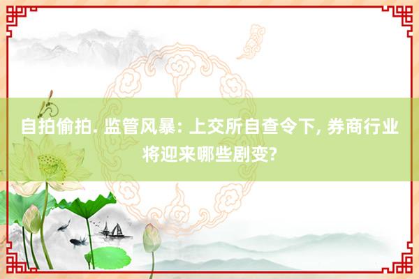 自拍偷拍. 监管风暴: 上交所自查令下， 券商行业将迎来哪些剧变?