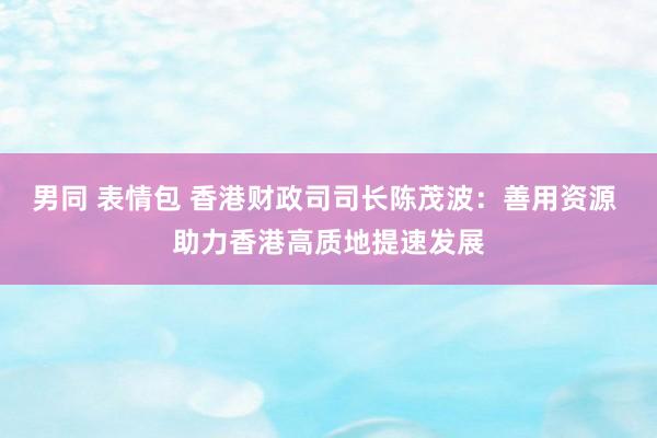 男同 表情包 香港财政司司长陈茂波：善用资源 助力香港高质地提速发展