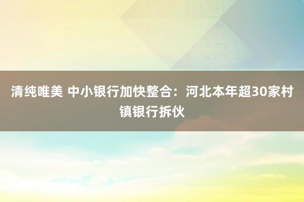 清纯唯美 中小银行加快整合：河北本年超30家村镇银行拆伙