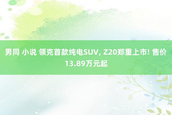 男同 小说 领克首款纯电SUV， Z20郑重上市! 售价13.89万元起