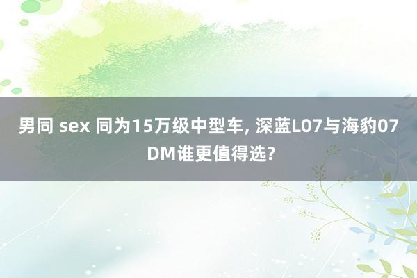 男同 sex 同为15万级中型车， 深蓝L07与海豹07 DM谁更值得选?