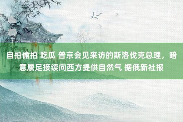 自拍偷拍 吃瓜 普京会见来访的斯洛伐克总理，暗意餍足接续向西方提供自然气 据俄新社报