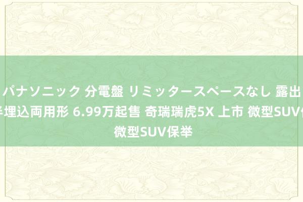 パナソニック 分電盤 リミッタースペースなし 露出・半埋込両用形 6.99万起售 奇瑞瑞虎5X 上市 微型SUV保举