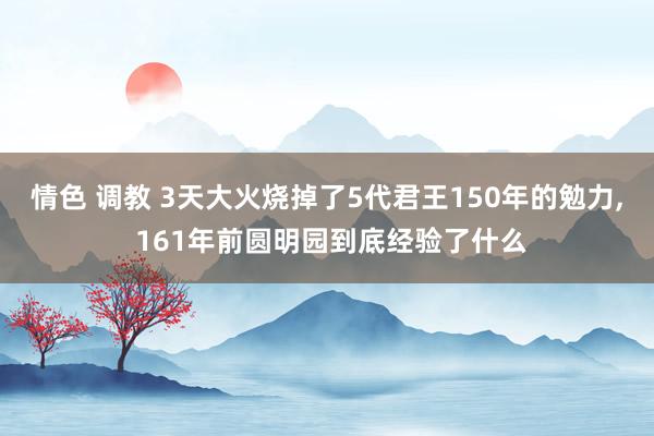 情色 调教 3天大火烧掉了5代君王150年的勉力， 161年前圆明园到底经验了什么