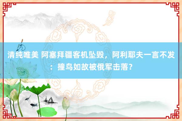 清纯唯美 阿塞拜疆客机坠毁，阿利耶夫一言不发：撞鸟如故被俄军击落？