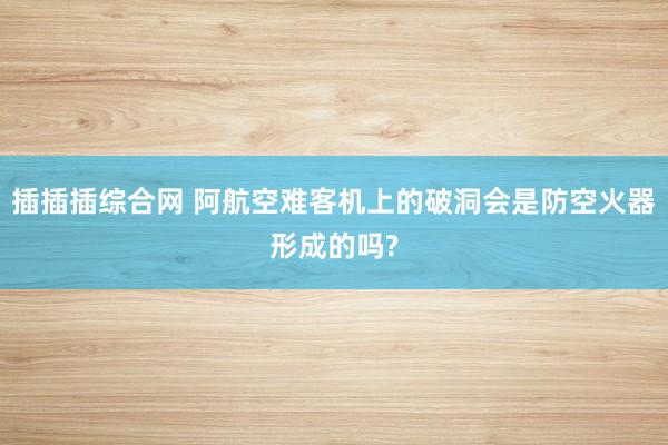 插插插综合网 阿航空难客机上的破洞会是防空火器形成的吗?