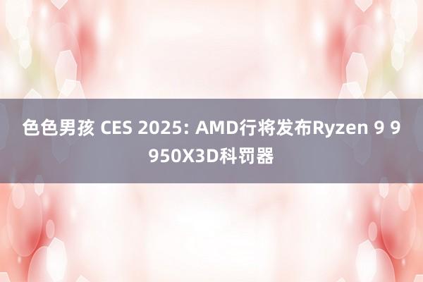 色色男孩 CES 2025: AMD行将发布Ryzen 9 9950X3D科罚器