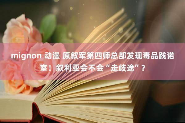 mignon 动漫 原叙军第四师总部发现毒品践诺室！叙利亚会不会“走歧途”？