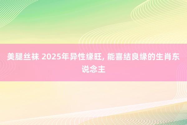 美腿丝袜 2025年异性缘旺， 能喜结良缘的生肖东说念主