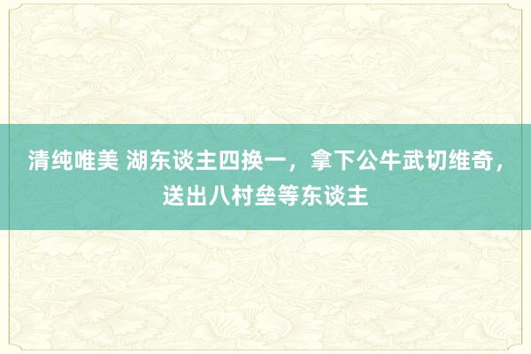 清纯唯美 湖东谈主四换一，拿下公牛武切维奇，送出八村垒等东谈主