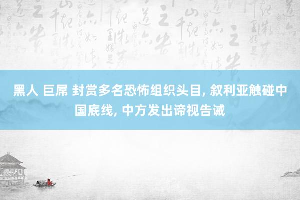 黑人 巨屌 封赏多名恐怖组织头目， 叙利亚触碰中国底线， 中方发出谛视告诫