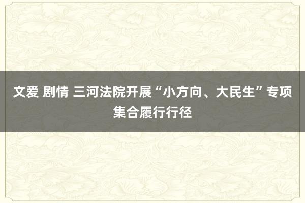 文爱 剧情 三河法院开展“小方向、大民生”专项集合履行行径