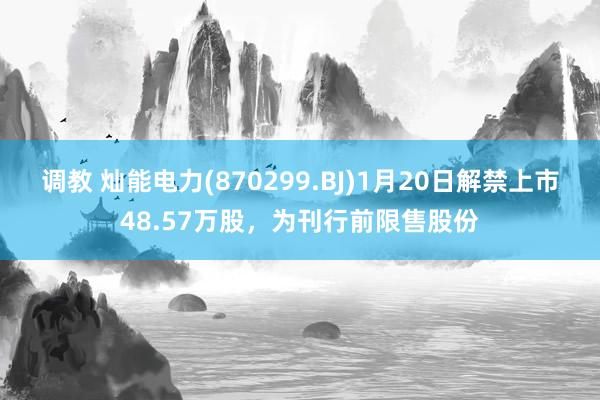 调教 灿能电力(870299.BJ)1月20日解禁上市48.57万股，为刊行前限售股份