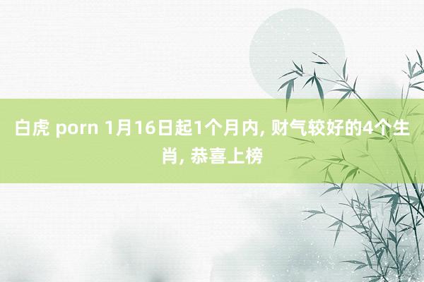 白虎 porn 1月16日起1个月内， 财气较好的4个生肖， 恭喜上榜