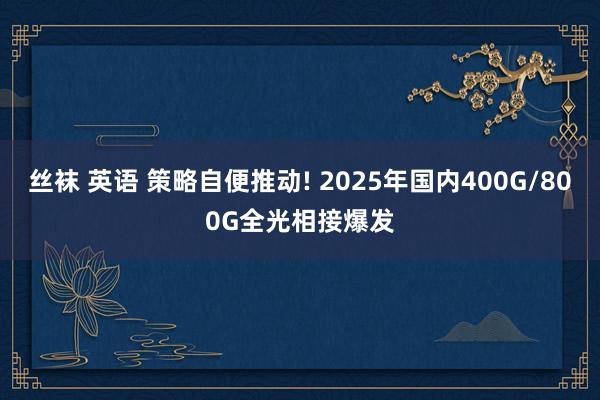 丝袜 英语 策略自便推动! 2025年国内400G/800G全光相接爆发