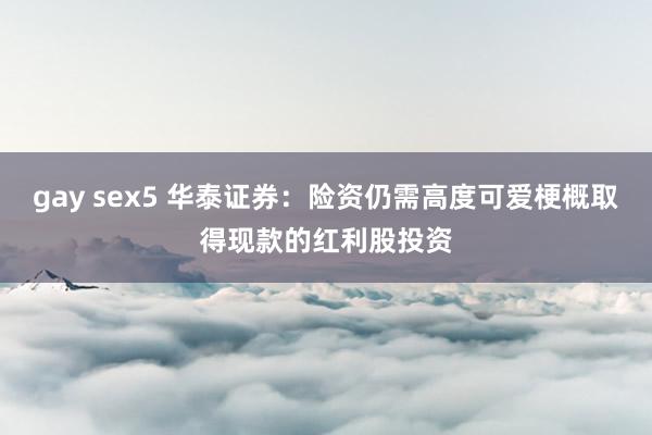 gay sex5 华泰证券：险资仍需高度可爱梗概取得现款的红利股投资