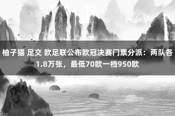 柚子猫 足交 欧足联公布欧冠决赛门票分派：两队各1.8万张，最低70欧一档950欧