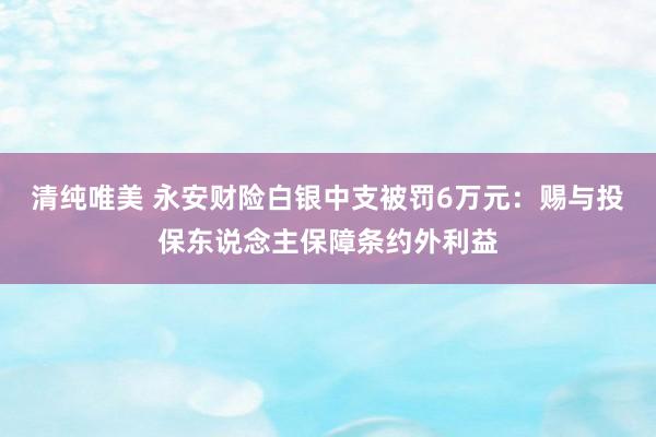 清纯唯美 永安财险白银中支被罚6万元：赐与投保东说念主保障条约外利益