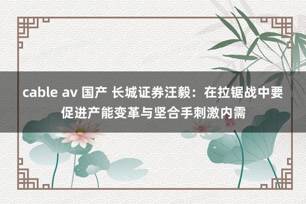 cable av 国产 长城证券汪毅：在拉锯战中要促进产能变革与坚合手刺激内需