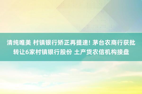 清纯唯美 村镇银行矫正再提速! 茅台农商行获批转让6家村镇银行股份 土产货农信机构接盘