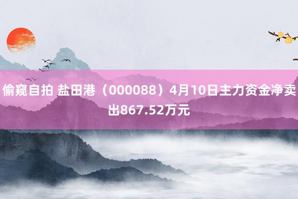 偷窥自拍 盐田港（000088）4月10日主力资金净卖出867.52万元